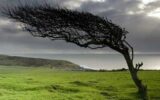 تندباد شدید اردبیل را درنوردید