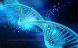 ایجاد بانک مرجع DNA مورد نیاز خدمه پروازی
