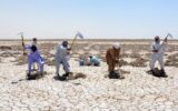 موج مهاجرت در سه استان خوزستان، لرستان و کرمانشاه