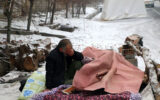 کمین شیادان در زلزله خوی
