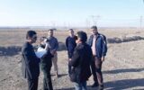 آدمکشی مرد قصاب درون خودرو