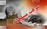 سرقت مسلحانه با شگرد پخش حلیم نذری