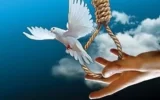 مرد جوان به برادرش زندگی بخشید