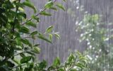 هشدار هواشناسی برای ۲۲ استان