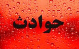 ماجرای مرموز دزدیدن دختر ۴ ساله از بیمارستان