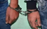 شیر دزدیده شد!