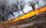 صدور ۴ دستور قضایی برای آتش‌سوزی جنگل‌های مریوان