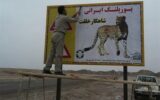 جاده ها را برای یوزپلنگ ها ایمن کنید