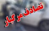 راننده مست 17 ساله قاتل عابر پیاده در بزرگراه چمران شد