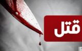 دختر نوجوان مدعی شد دیدین فیلم سیاه در فضای مجازی ، باعث شد دست به قتل بزند