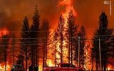 آتش سوزی منطقه «سردره» پاوه مهار شد