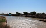 کشف پیکر کودک 4 ساله در رودخانه شاوور