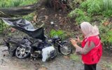 مرگ هولناک 4دانش آموز در سقوط درخت روی سه چرخه
