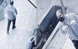 هشدار! سارق زورگیر و خشن در کمین است