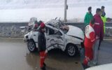 «فرهنگ، سیاست‌ها و تکنولوژی»