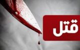 بازداشت عاملان جنایت هولناک در پارک قیطریه