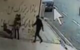 دستگیری عامل گردنبندقاپی از یک مادر بچه