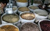 لوبیا چیتی نیم میلیونی؛ شایعه یا واقعیت؟