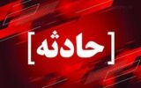 پیدا شدن جمجمه انسان در باغچه ای در قزوین