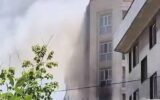 یک ریزپرنده در محله گیشا تهران
