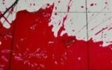بازداشت شروری در تهران متهم به قتل