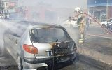پژو 206 در اتوبان همت در آتش سوخت