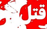 همراهی دعوای خانوادگی با قتل شوهرخواهر