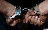 از دوستی ۸ ماهه تا خیانت با شیرموز