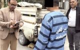 قتل پسر کافه‌دار در تفرجگاه