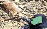 زن شکارچی با اسلحه کالیبر