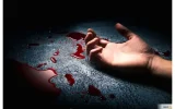 دختری که پدر دوستش را به قتل رساند