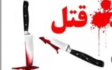 عامل اصلی قتل حمیدرضا رجب‌زاده دستگیر شد