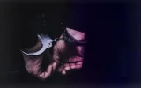 مدیر قلابی تور ترکیه دستگیر شد